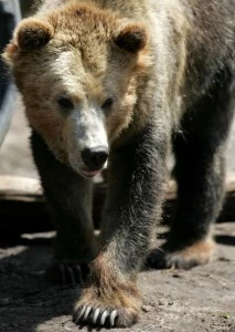 San Francisco Zoo Celebrates Endangered Species Day