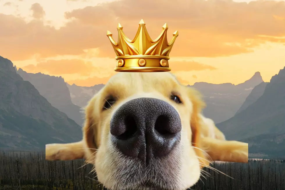 Montana’s Most Luxurious Dog-Friendly Resort