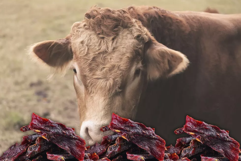 Popular Montana Snack Company To Pause Production